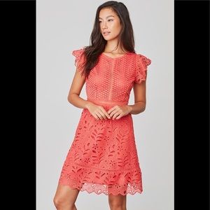 NWOT BB Dakota Ariane dress 🌺🌷
